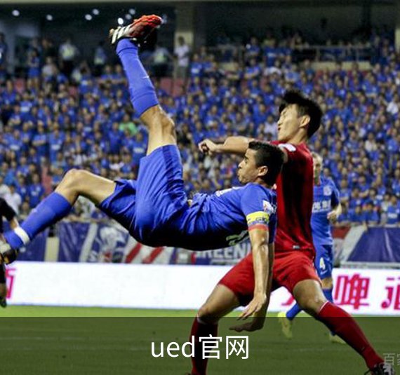 了解ued官网